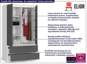 Gładka szafa z 2 szufladami + szary - Hino 3X