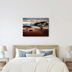 Obraz - Park Narodowy Serengeti, Tanzania, Afryka (70x50 cm)