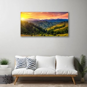 Obraz canvas Egzotyczny Kwiat Plumerii