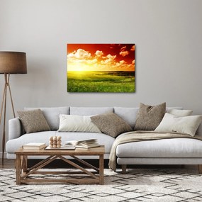 Obraz łąki ze świecącym słońcem (70x50 cm)