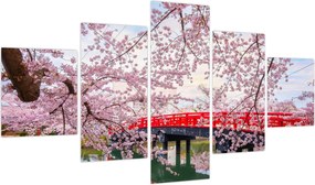 Obraz - Hirosaki, Japonia (125x70 cm)