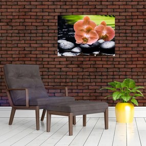 Obraz - Pomarańczowa orchidea z liśćmi palmy (70x50 cm)