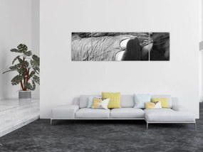 Obraz - Noga słonia (170x50 cm)