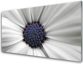 Szkło Ozdobne do Kuchni Kwiatowy Akcent Wnętrza