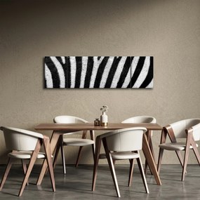 Obraz skóry zebry (170x50 cm)