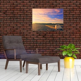Obraz żółtego samochodu na polu (70x50 cm)