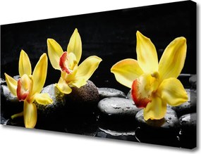 Obraz canvas Królewska Biała Orchidea