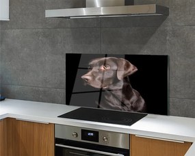 Panel szklany do Kuchni Wierny Brązowy Przyjaciel