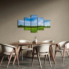 Obraz łąki (125x70 cm)