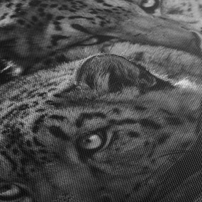 Obraz - Odpoczywające gepardy (170x50 cm)