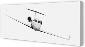 Obraz drukowany na płótnie Sylwetka Samolotu pod Niebem