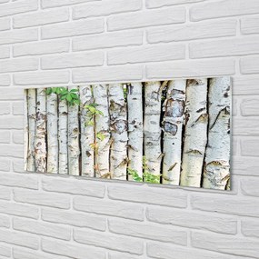 Panel szklany do Kuchni Zielone Liście Brzozy