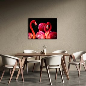 Obraz czerwonych flamingów (70x50 cm)