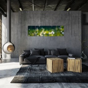 Obraz - Trawa (170x50 cm)