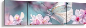 Obraz - Motyl na drzewie wiśni (170x50 cm)