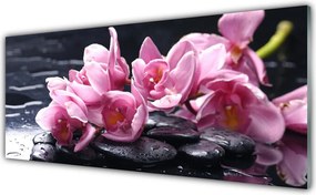 Szkło Dekoracyjne do Kuchni Egzotyczny Kwiat Orchidei