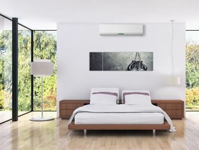 Obraz rękawic bokserskich (170x50 cm)