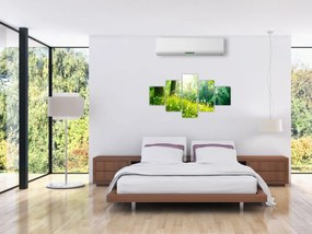 Obraz - Magiczna łąka pełna mniszków lekarskich (125x70 cm)