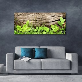 Obraz canvas Kwiaty Ukryte w Trawie