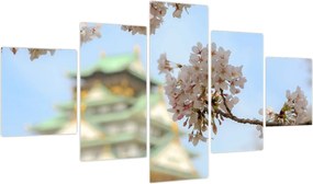 Obraz - Sakura (125x70 cm)