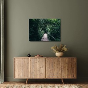 Obraz na szkle - Ścieżka przez las (70x50 cm)