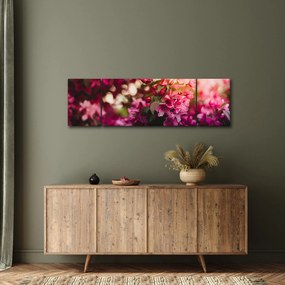 Obraz kwiatów malwy (170x50 cm)