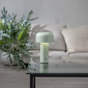 Zielona lampa stołowa LED (wysokość 21,5 cm) Bobby – Star Trading