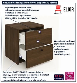 Szafka łazienkowa pod umywalkę ciemny orzech T5-W10
