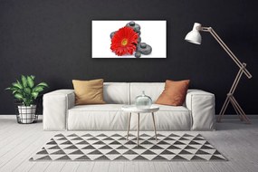 Obraz canvas Wyrazista Czerwona Gerbera