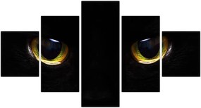 Obraz - Kocie oczy (125x70 cm)