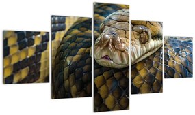 Obraz - Pyton (125x70 cm)