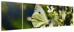 Obraz motyla (170x50 cm)
