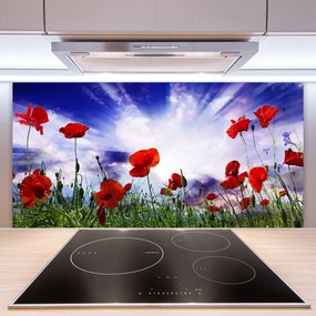 Szkło Ozdobne do Kuchni Czerwone Maki w Polu