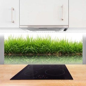 Panel Kuchenny Naturalna Świeżość Zieleni