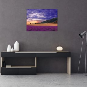 Obraz na szkle lawendowej łąki (70x50 cm)