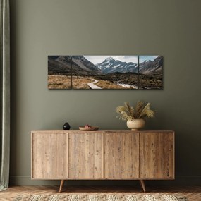 Obraz - Chodnik w dolinie góry Mt. Cook (170x50 cm)