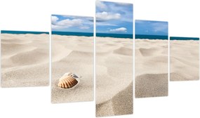 Obraz - Muszle na plaży (125x70 cm)