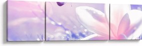 Obraz - Motyl lecący do kwiatu (170x50 cm)