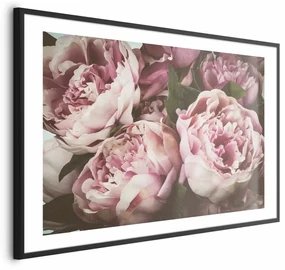Plakat Różowe piwonie 42x29,7 cm z ramą czarną z marginesem ARTGEIST B