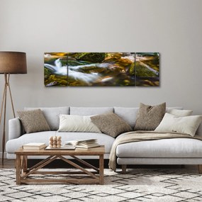 Obraz strumienia (170x50 cm)