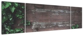 Obraz - Bluszcz (170x50 cm)