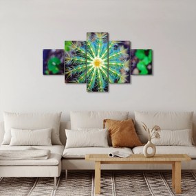 Obraz kaktusa (125x70 cm)