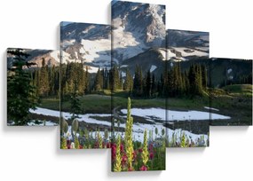 Obraz - Mount Rainier (125x70 cm)