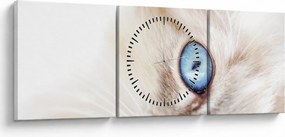 Obraz - Kotek (z zegarem) (90x30 cm)