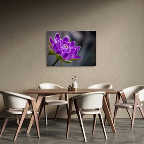 Obraz na szkle kwiatu (70x50 cm)