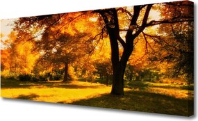 Obraz canvas Złota Jesień w Lesie