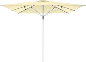 Doppler Gastro Magic 300 x 300 cm naturalny