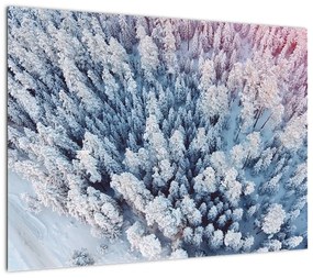 Obraz na szkle ośnieżonych drzew (70x50 cm)