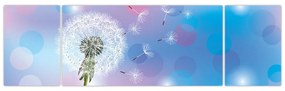Obraz - Dmuchawiec na wietrze (170x50 cm)