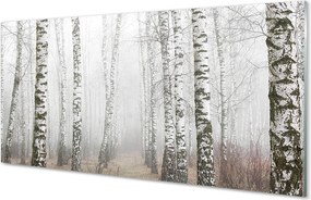 Panel szklany do Kuchni Mglisty Poranek wśród Brzóz